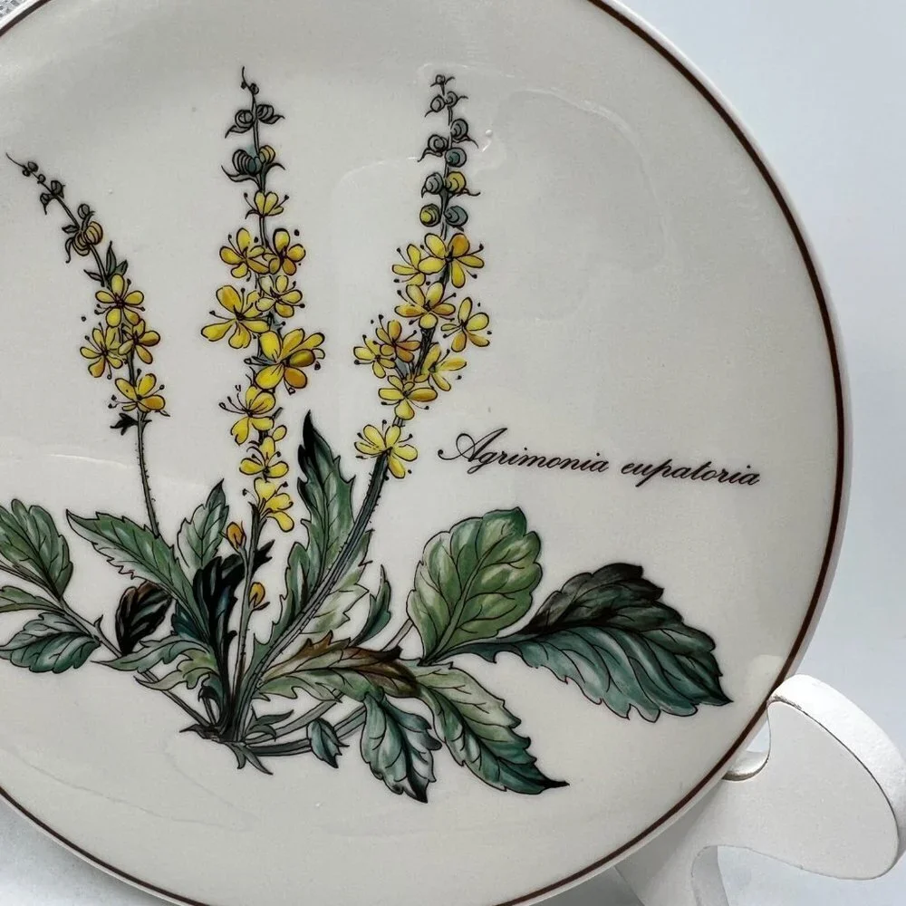 Villeroy & Boch BOTANICA Round Trivet Tea Plate Agrimominia